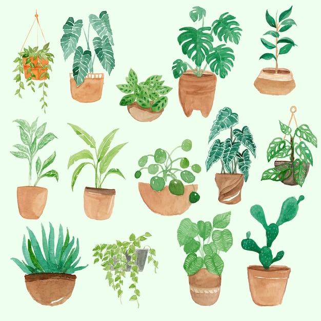 Plant in pot watercolor background