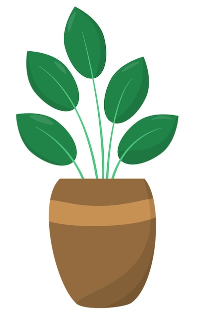 a plant in a pot on a white background