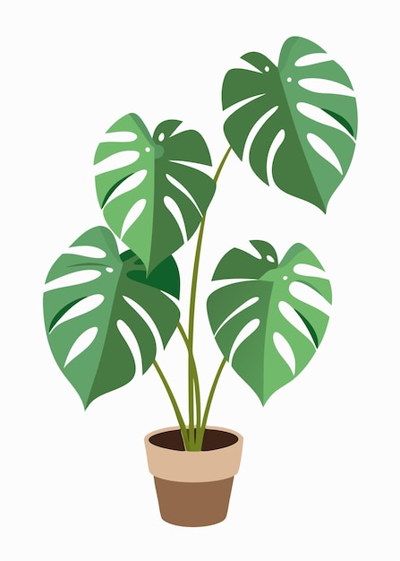 a plant in a pot with a green leaf