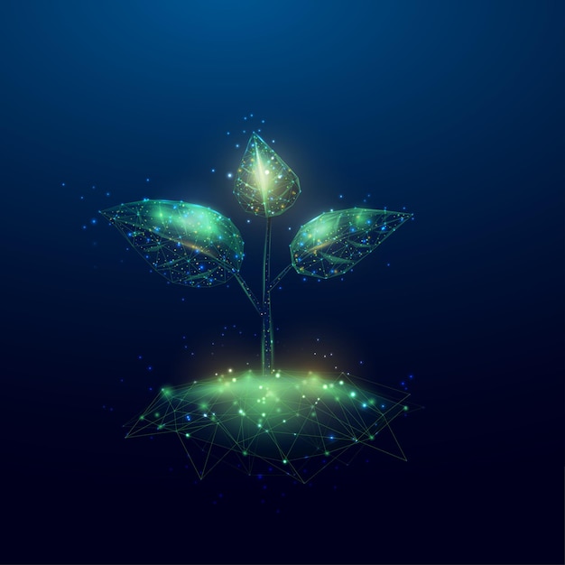 Plant sprout Growing plant in low poly wireframe style Abstract modern 3d vector illustration on dark blue background