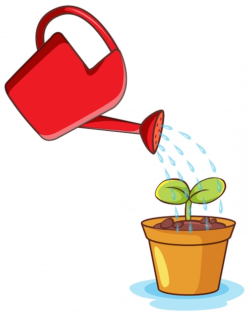 Plant and watering can 