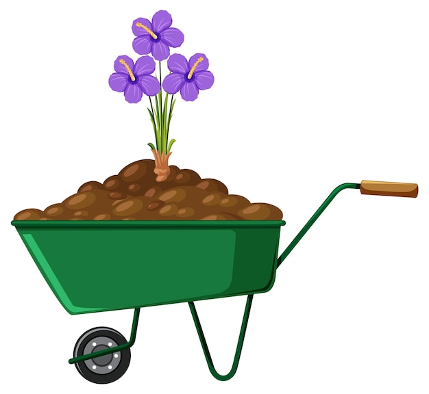 Plant on a wheelbarrow isolated