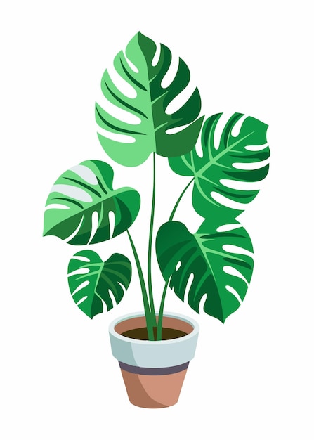 a plant with green leaves in a pot with a plant in it