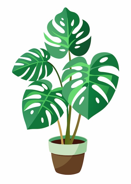 a plant with green leaves in a pot with a white background