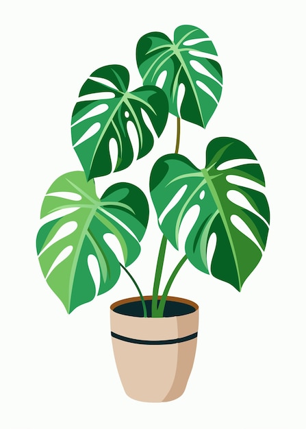 a plant with green leaves in a pot