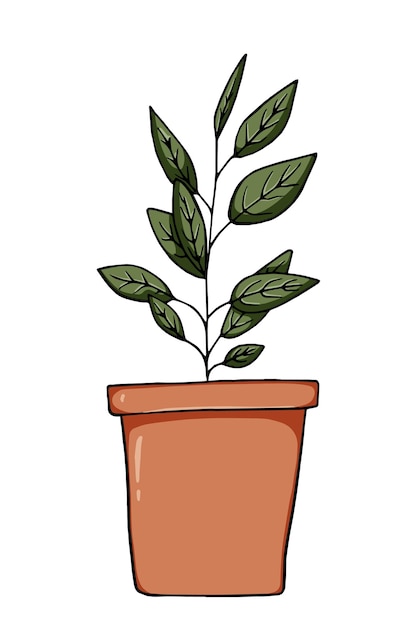 Plant with leaves in a pot room decor doodle linear cartoon