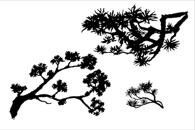 Vector the plants of asia are bamboo and pine. tree branches drawn in ink.