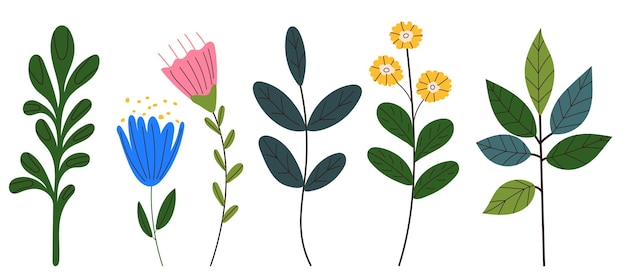 Plants in doodle style isolated vector