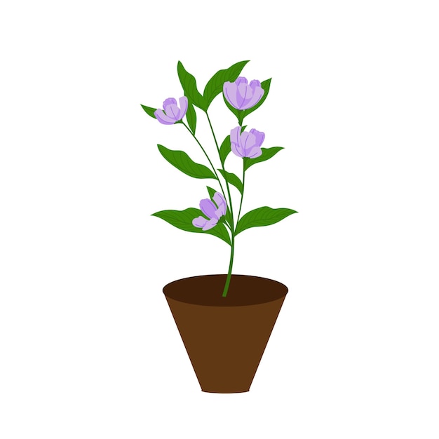 Plants in flower pot icon isolated on white background. Vector Illustration in cartoon style for graphic and web design