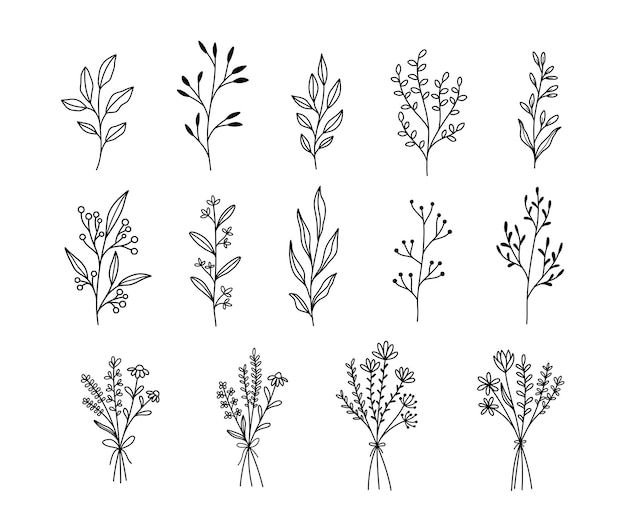 Plants and flowers rustic botanical Illustrations