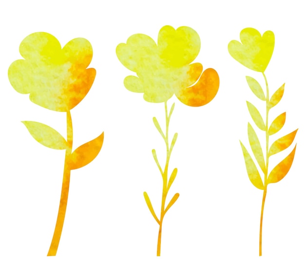 Plants flowers watercolor silhouette on white background