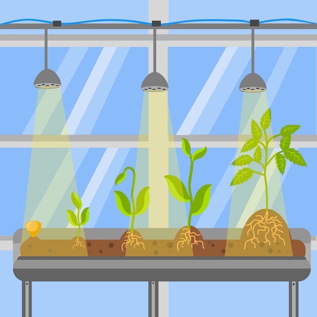 Vector plants in greenhouse flat vector illustration