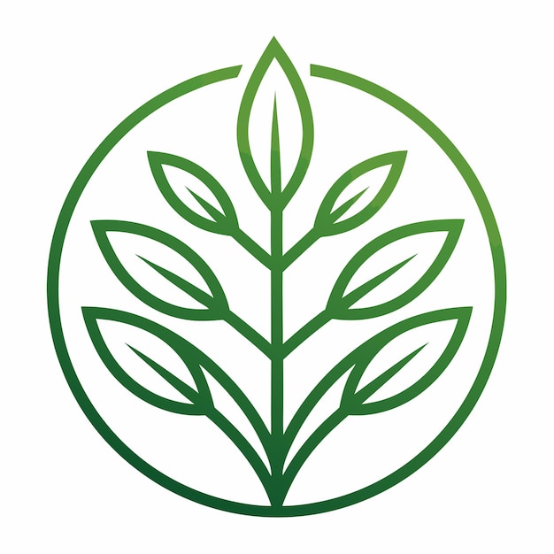 plants and leaves line art logo design vector art and illustration