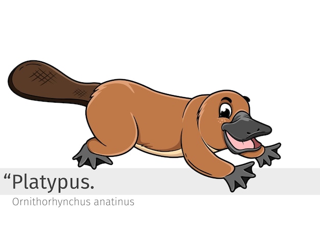 Platypus Cartoon illustration