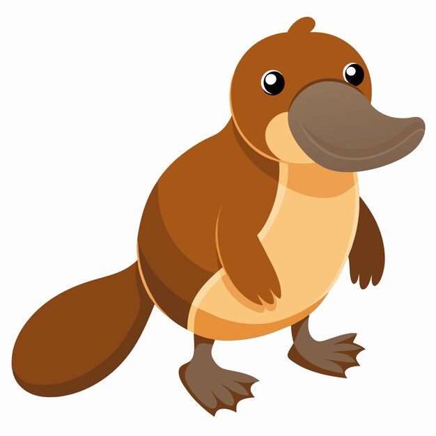 Vector platypus vector