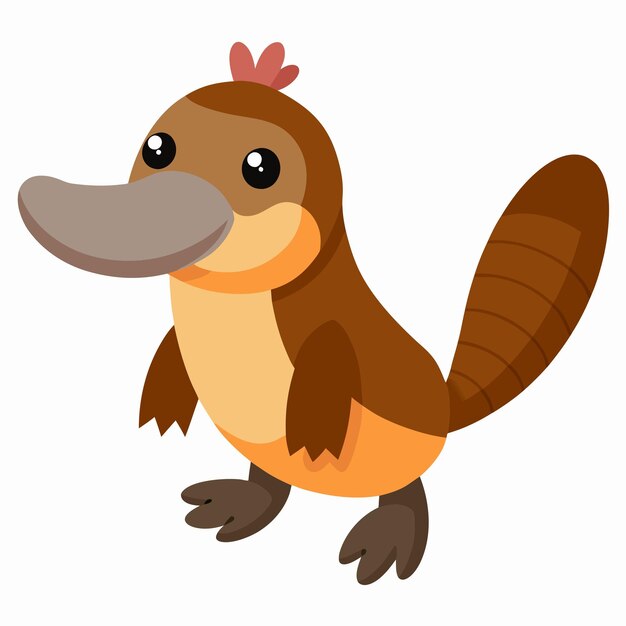 Vector platypus vector