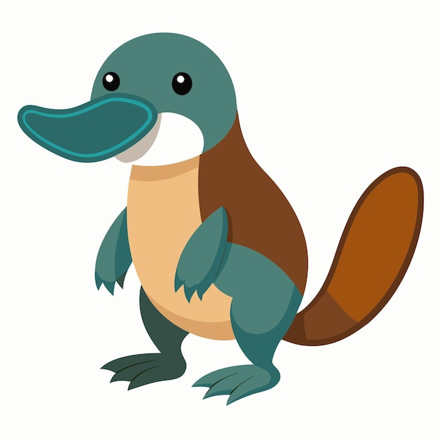 Vector platypus vector