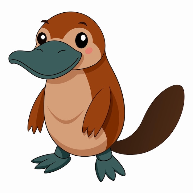 Vector platypus vector