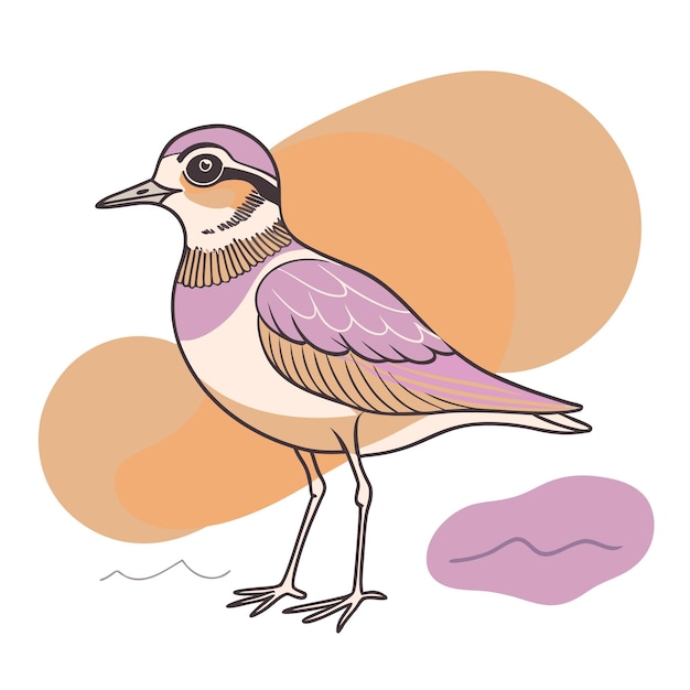 plover bird color blobs vector