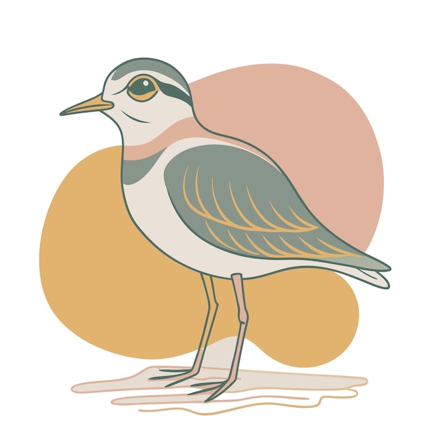 plover color blobs vector