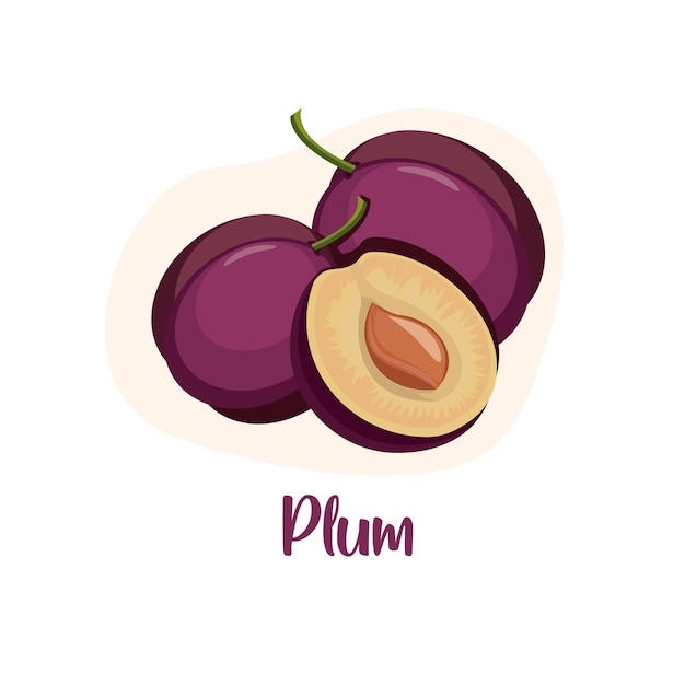 Plum fruit and leaf vector icon Fresh juicy plum isolated on a white background