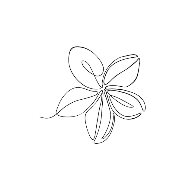 The plumeria flower is drawn with one line Cosmetic series frangipani