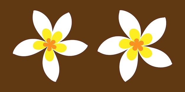 Plumeria Flower Vector Illustration Set