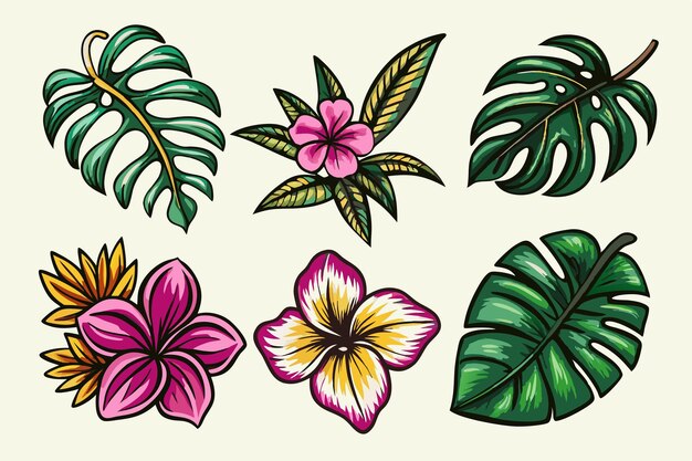 Vector plumeria hibiscus tropical plants set