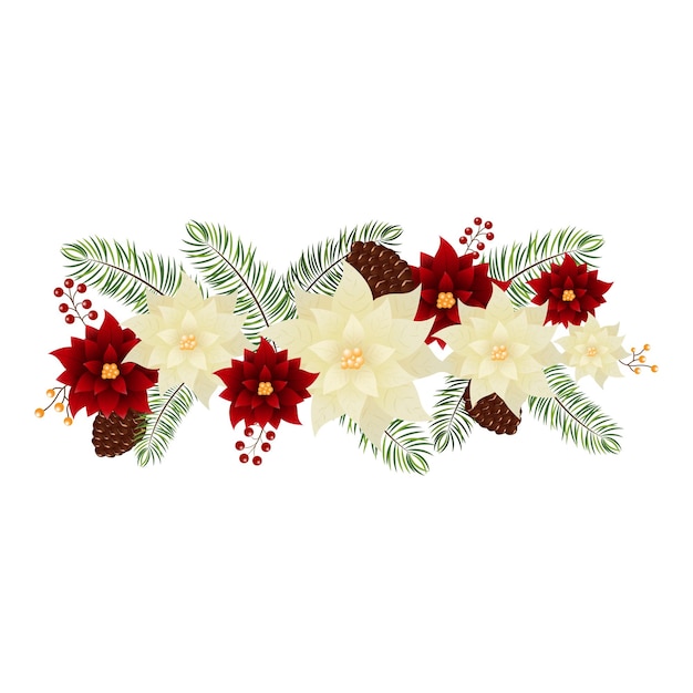 Poinsettia Flower With Fir Leaves Pine Cone And Berries Copy Space White Background