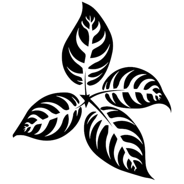 poinsettia leaf black and white vector template set for cutting and printing