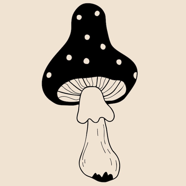 Poisonous forest fly agaric mushroom Magic ritual fly agaric Vector hand drawn doodle style