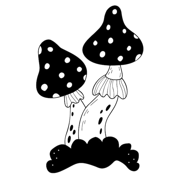 Poisonous forest fly agaric mushrooms Magic ritual fly agaric Vector hand drawn