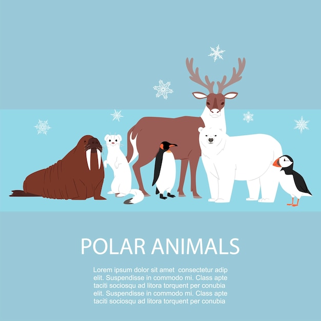 Vector polar and arctic animals and birds illustration.