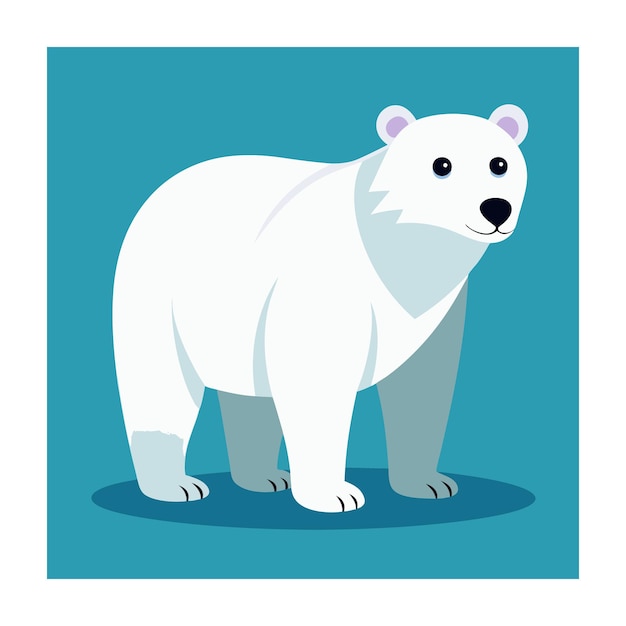 Vector polar bear animals vector on white background