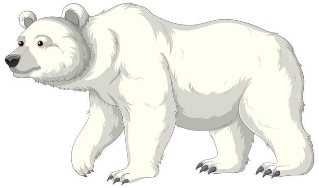 Polar Bear Cartoon