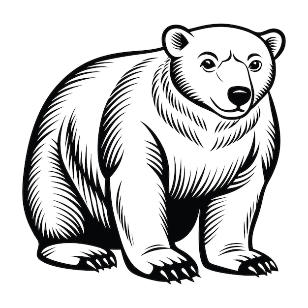 Polar bear Crouching Svg