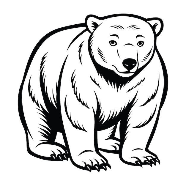 Vector polar bear crouching svg