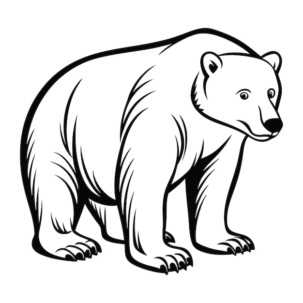 Vector polar bear crouching svg