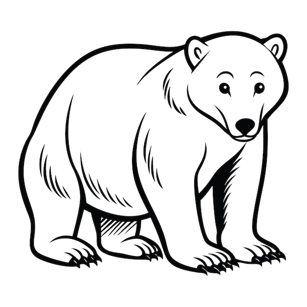 Vector polar bear crouching svg