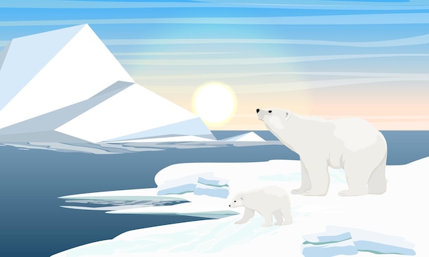 Polar bear and cub by the ocean Iceberg in the water North Sea or Ocean with frozen water