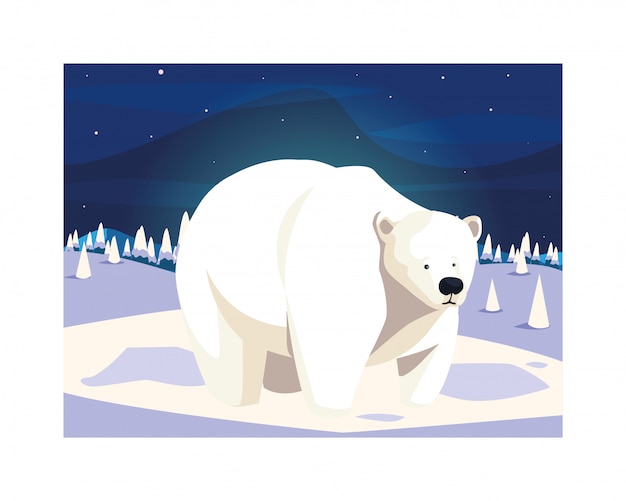 Polar bear at the north pole