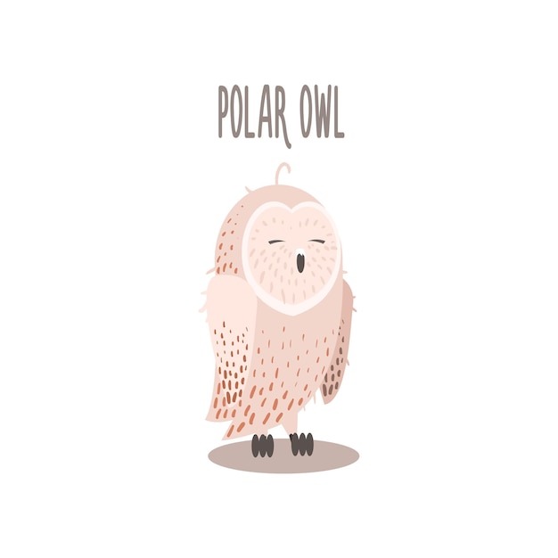 Vector polar owl drawing for arctic animals collection of flat vector illustration in creative style on white background