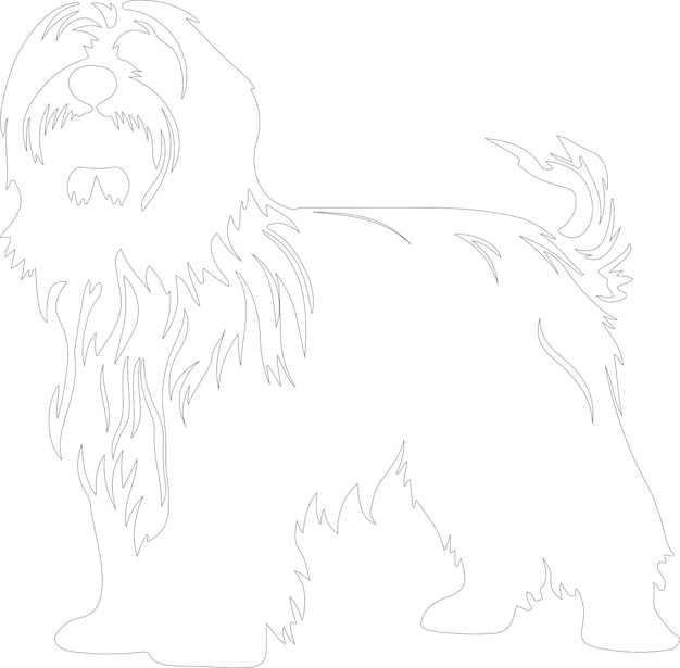 polish lowland sheepdog outline silhouette white background