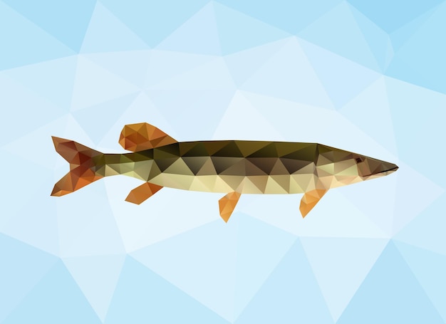 Polygon pike