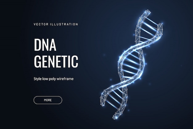 Polygonal DNA