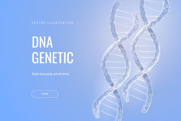 Polygonal DNA