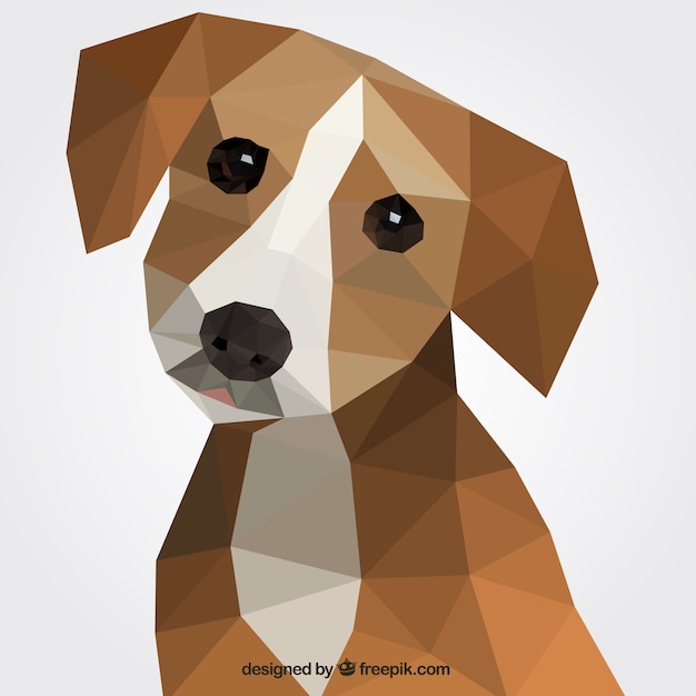 Polygonal dog