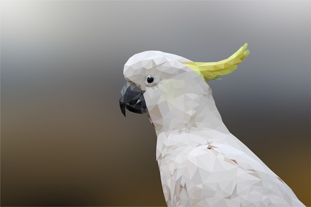 Polygonal Geometric Cockatoo Bird Animal Background