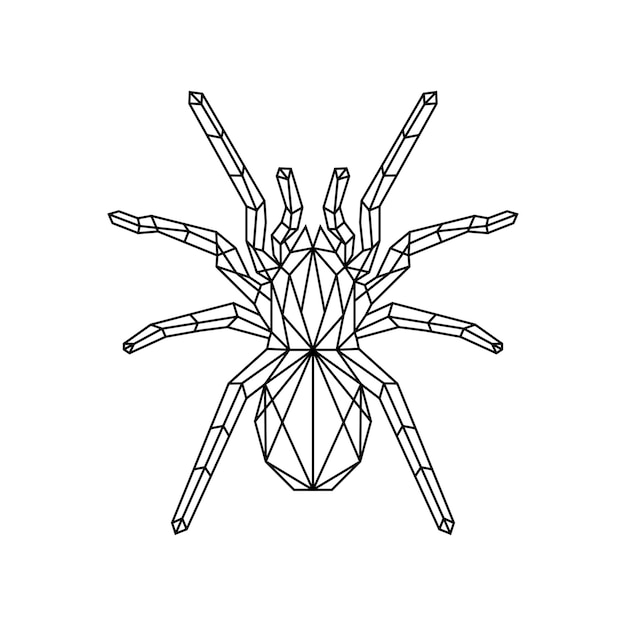 Polygonal geometric spider logo vector illustration