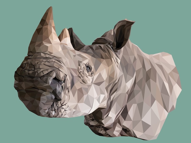 polygonal Illustration of  rhino's head